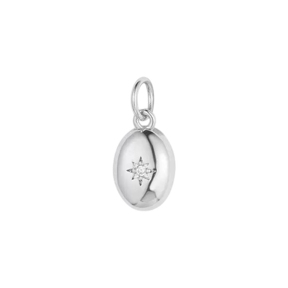 Gold Plated Heart Animal Charms, CZ Leaf Star Pet Charms,
