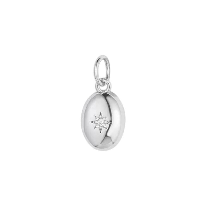 Gold Plated Heart Animal Charms, CZ Leaf Star Pet Charms,