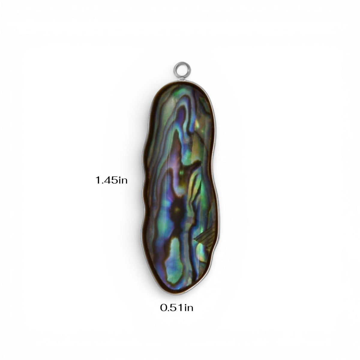 Abalone Shell Pendant Charm Collection, Gold or Silver Trim